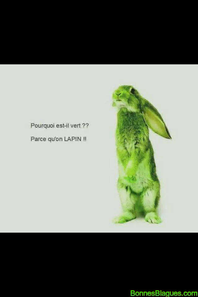 Pourquoi est il vert ? Parce qu'on lapin