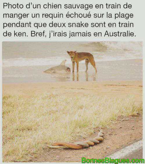 Ne pas aller en australie