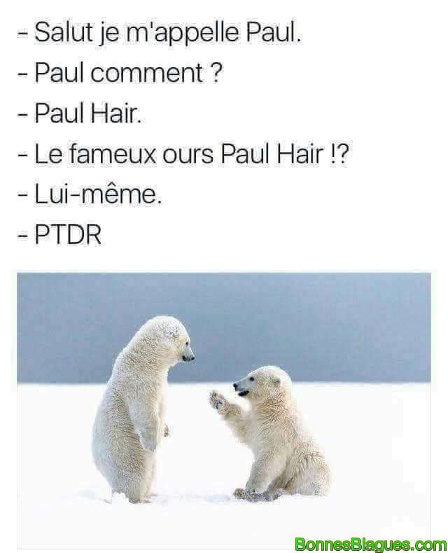 Salut je m'appelle Paul Hair