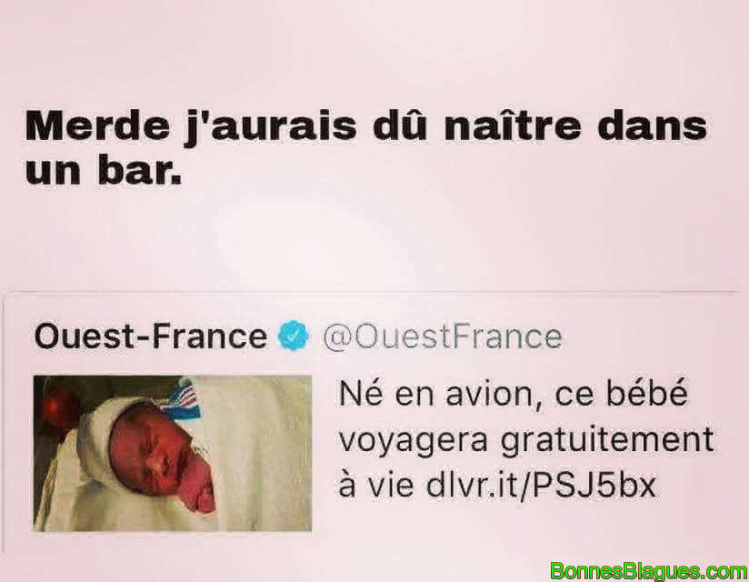 J'aurais dû naître dans un bar