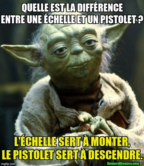 Quelle est la différence entre une échelle et un pistolet ? L'échelle sert à monter, le pistolet sert à descendre.