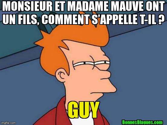 Monsieur et Madame Mauve ont un fils, comment s’appelle t-il ? Guy