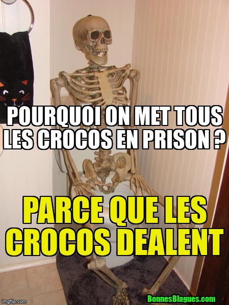 Pourquoi on met tous les crocos en prison ? Parce que les crocos dealent