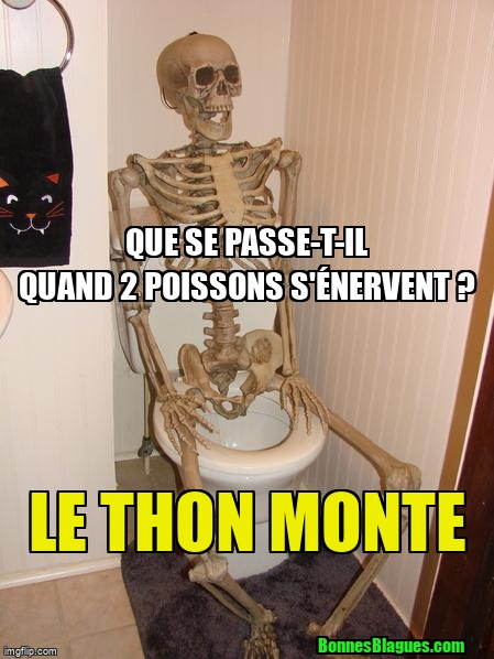 Que se passe-t-il quand 2 poissons s'énervent ? Le thon monte