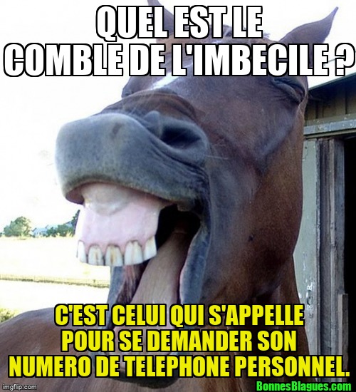 Quel est le comble de l'imbecile ? C'est celui qui s'appelle pour se demander son numero de telephone personnel.