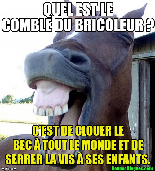 Quel est le comble du bricoleur ? C'est de clouer le bec à tout le monde et de serrer la vis à ses enfants.