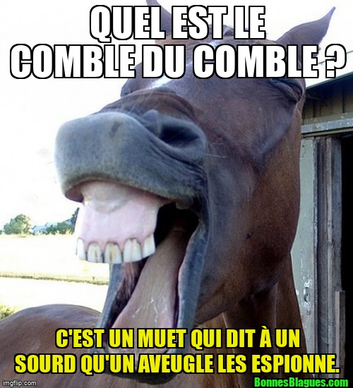 Quel est le comble du comble ? C'est un muet qui dit à un sourd qu'un aveugle les espionne.