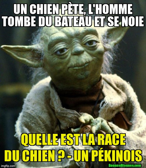 Un chien pète, l'homme tombe du bateau et se noie Quelle est la race du chien ?
- Un pékinois