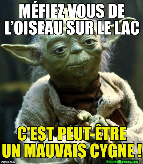 Méfiez vous de l’oiseau sur le lac C'est peut-être un mauvais cygne !